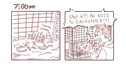 2022 hourlies