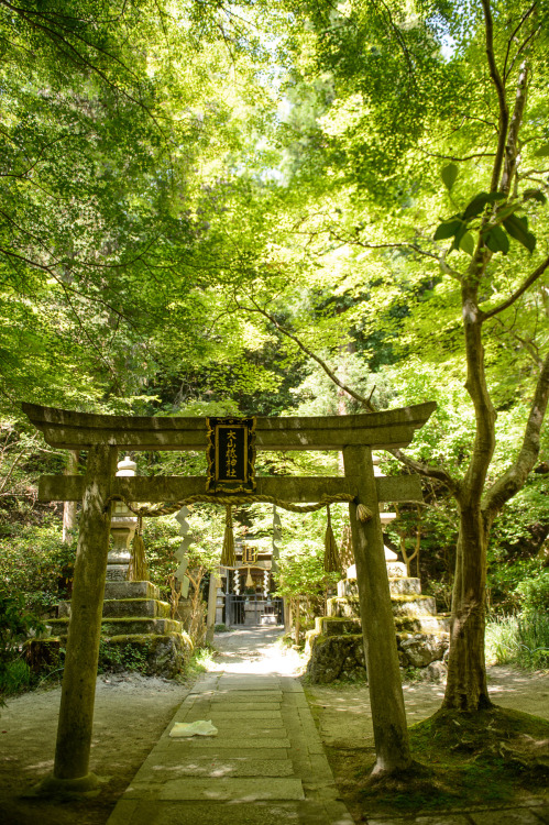fromthefloatingworld:  My Mt. Hiei Climb Challenge 2013, Part 1 