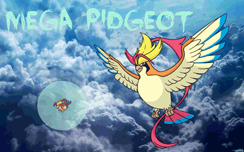 carbink:Mega Pidgeot (x)
