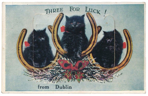 postcardtimemachine:Three for Luck! from Dublin