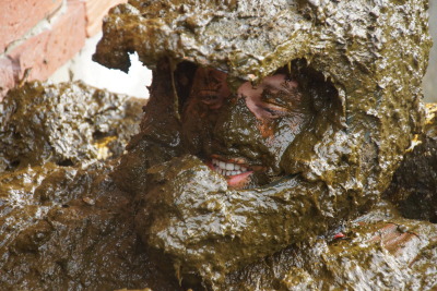 cowfarmer: taking a bath with a mate