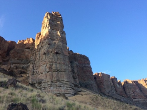 adventurous-watermelon:Geologic heroin at the Pallisades of John Day Fossil Beds Nat'l Monument, Cla