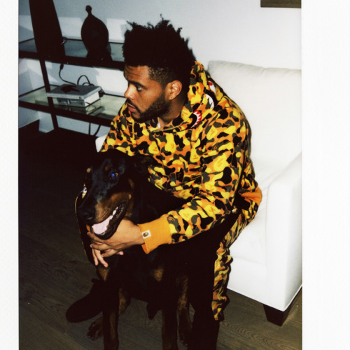 If it ain’t XO then it gotta go