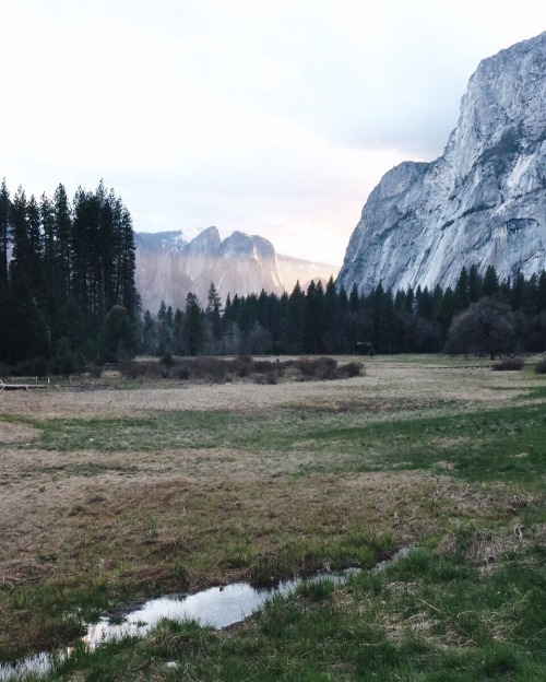 nuhstalgicsoul: Thank you to our national park services for a very happy 100 years of pure beauty an