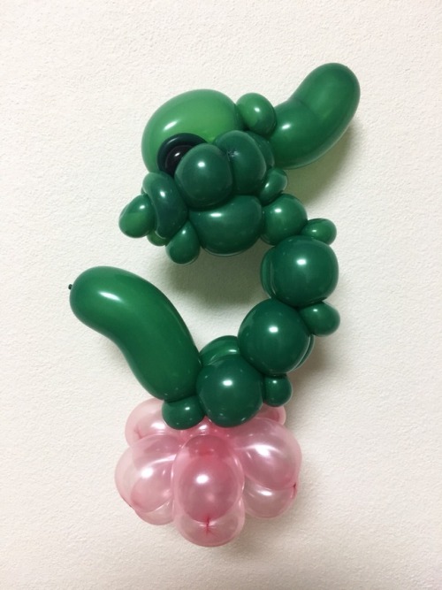 Balloonart : Dragon Babyバルーンアート : 龍の子