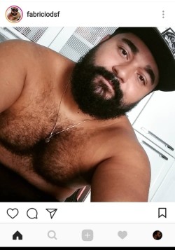 Bear_Hairy