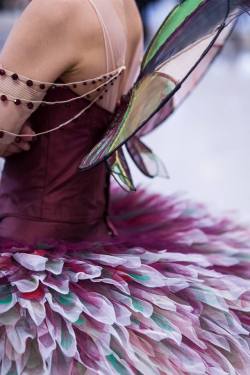 yoiness:    The Australian BalletMiwako Kubota