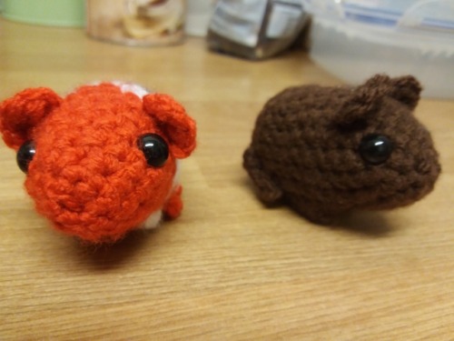 Found my new quick project - guinea pigs! Turns out I can knock these small boys out in about an hou