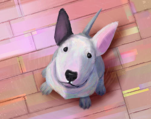 bull terrier