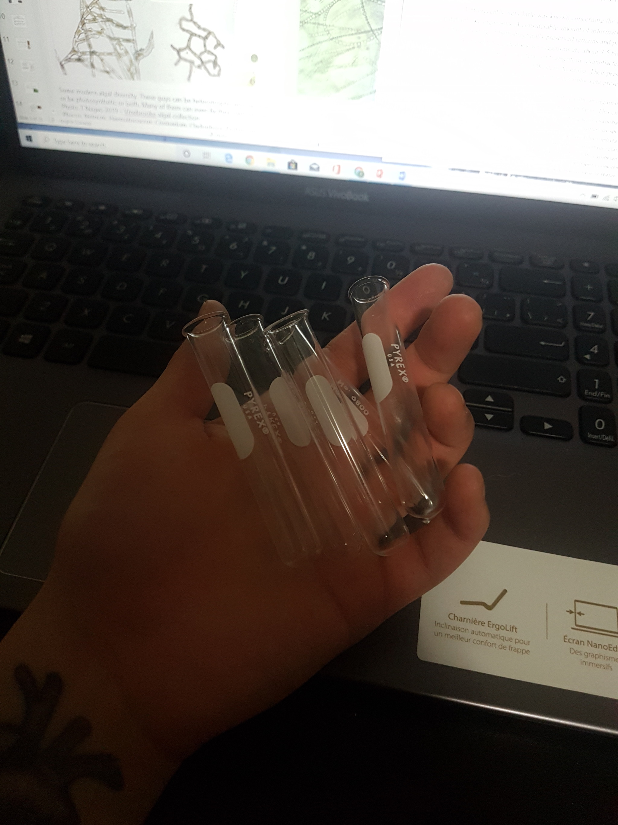 neat-deadandlive-things:bigboibolshephile:neat-deadandlive-things:Guess who found