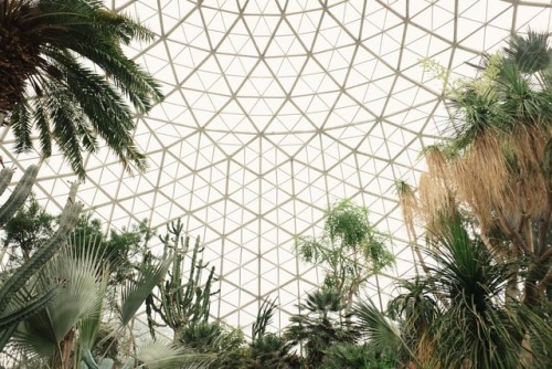 mitchell park domes, milwaukee #mitchellparkdomes #milwaukee #conservatory #desert #travelwisconsin 
