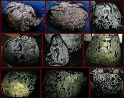 The Ica stones are a collection of andesite stones that contain what are alleged to be ancient depictions of dinosaurs and advanced technology. Beginning in the 1930s, the father of Dr. Javier Cabrera, Cultural Anthropologist for Ica, Peru, discovered