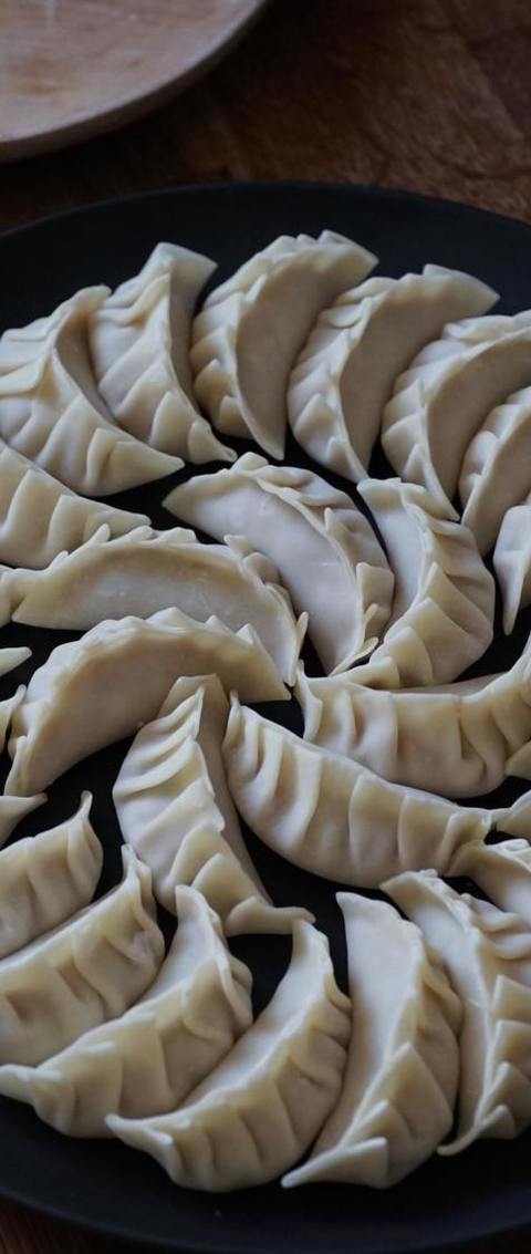 Gyoza Japanese Dumplings Recipe