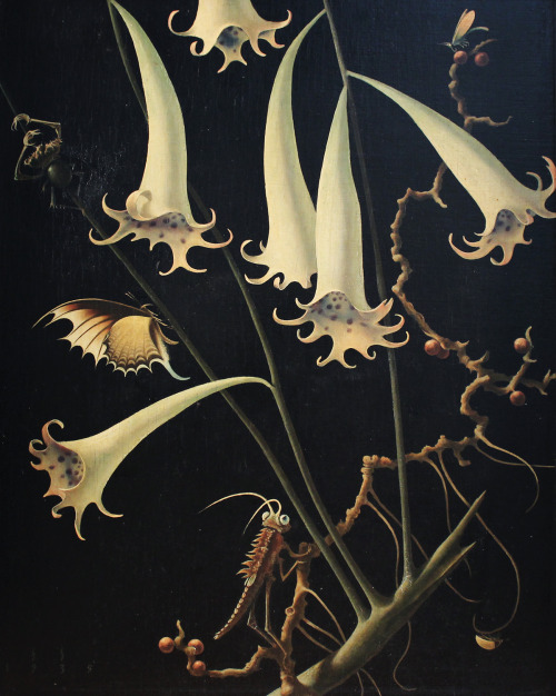 the-cinder-fields: Franz Sedlacek, Blüten und Insekten Nr. 3, 1935