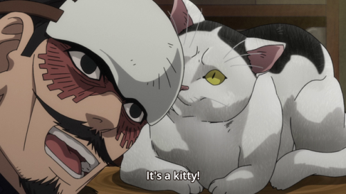 arirna: Me every time I see a cat