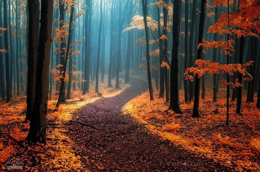 landture:  Autumn by Allahverdi 