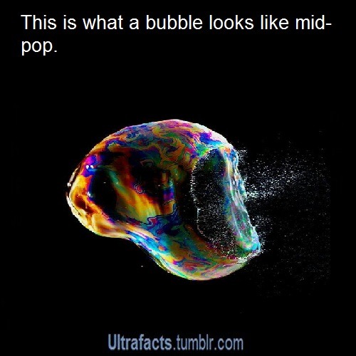 ultrafacts:  Source For more posts like this, follow Ultrafacts