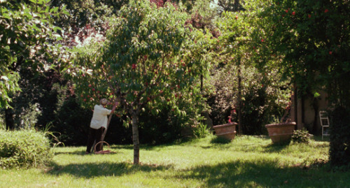 amoremiele: samuelperlman: Call Me By Your Name (2017) dir. Luca Guadagnino &lt;3