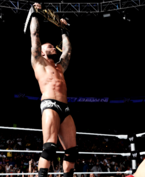 wrestling soulmates