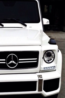 robert-dcosta:  Benz || @ || Robert D’Costa ||