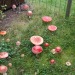 llovinghome: