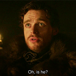 ROBB STARK the dude of the day and king of the north