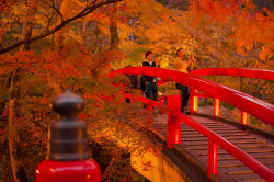 ileftmyheartintokyo:@Kajika-bashi bridge,