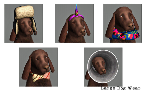 mspoodle1: [Sims 3] Mel’s Pet Project - TS4 Conversion*You must have the Pets EP* I know you know bu