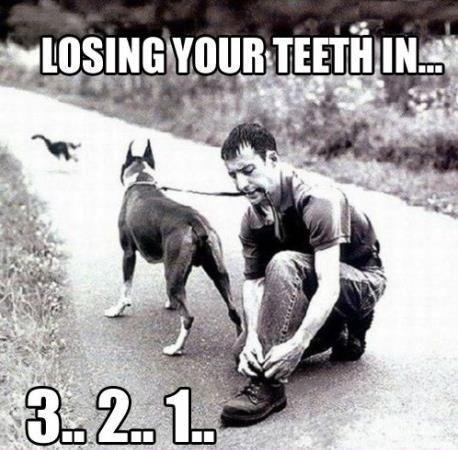 Totally Lost