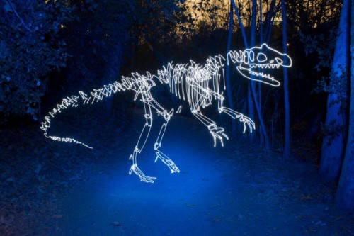 wacky-thoughts:  LED Light Paintings by Darren Pearson 