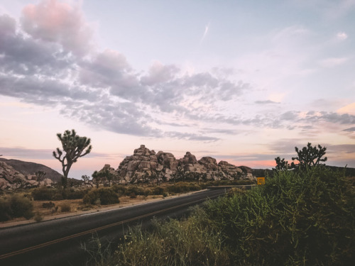 leahberman:scorpo desire Joshua Tree National Park, California instagramsetting inspiration