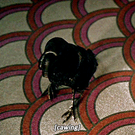 jimhopps:1x05/1x08