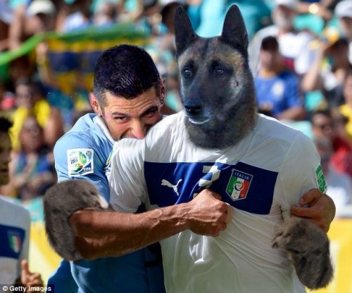 welele:  El policía que muerde a su perro policía pide chops