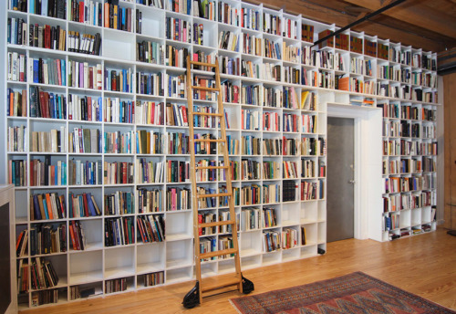 amandaonwriting:Rebecca Goldstein and Steven Pinker’s Library