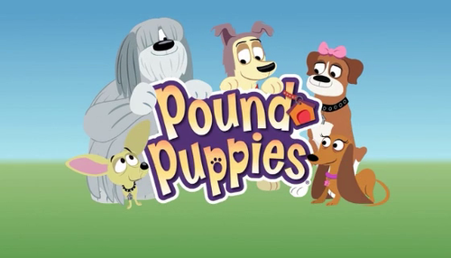 Pound Puppies The Road To Empawerment Tv Episode 2013 Imdb