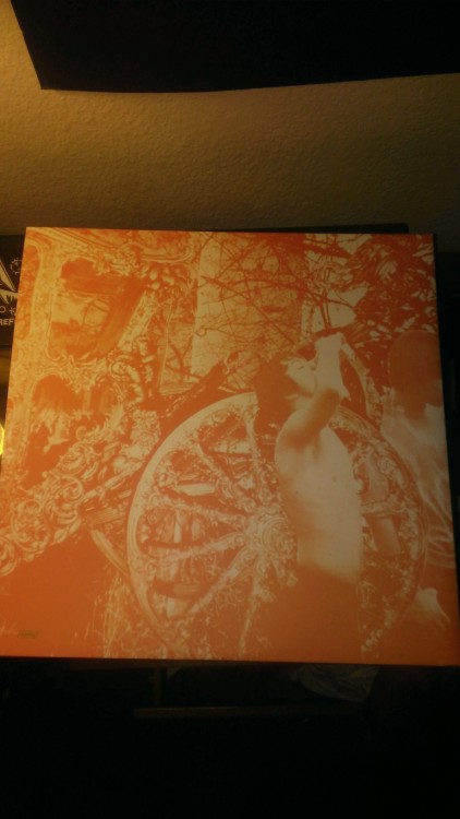 gloomyjunebug:  My Valentine present to myself &lt;3