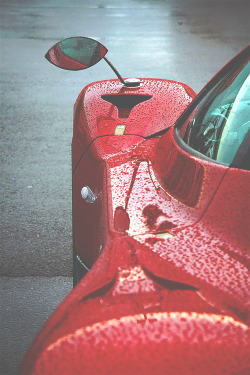 thelavishlife:  Source The Lavish Life 