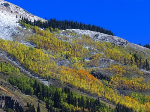 guidedsailor:

3 seasons on one mountainColorado #colorado