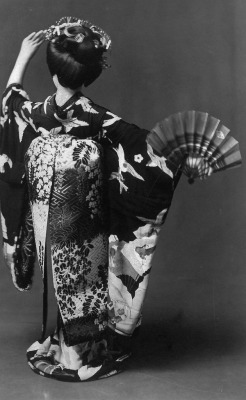 thekimonogallery: Probably Maiko Momotaro from the 1910’s or 20’s, with her wisteria-motif obi and wonderful hikizuri kimono.  Image and info via Blue Ruin 1 on Flickr 