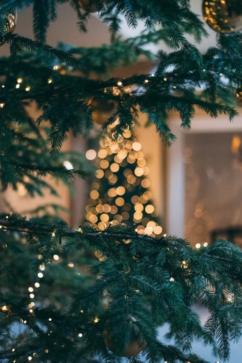 xmas-wonderland:Christmas is waiting for you to have your amazing hot summer :)