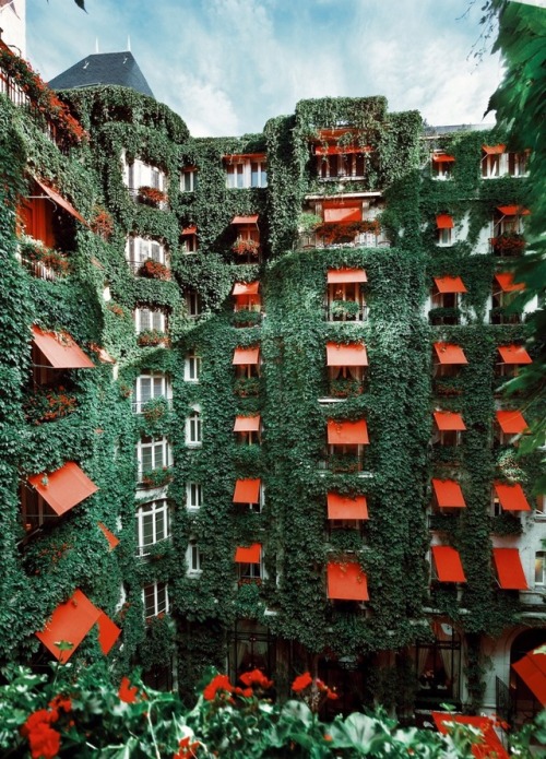 just-good-design:La Cour Jardin in the Plaza Athenee hotel in Paris.