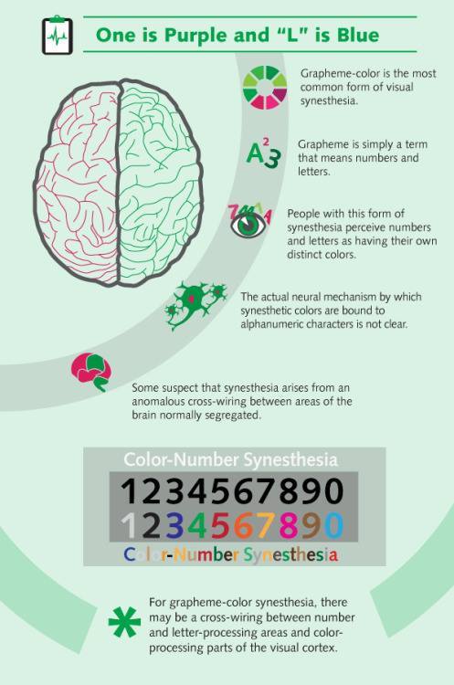 mypsychology: If you like more psychology related infographic, check out @mypsychology.