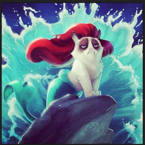 #thelittlemermaid #grumpycat