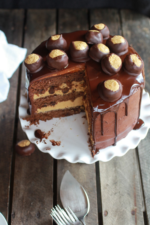 foodfuckery:Ultimate Bourbon (Chocolate Peanut Butter) Buckeye CakeRecipe