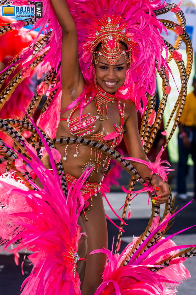 insatiablerasta:  yesnibbles:  Trinidad Carnival 2015 - good people having great