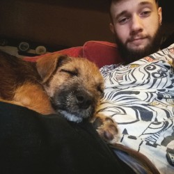 samuel-alexander:  Tired now. #sleepy #puppy #didyouseemybeardthough #beard #instabeard #instapuppy #pupstagram