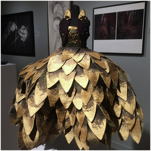 Persona, George Fry Gallery“Auric“, 2017Tracy Austin, Fashion Studio TechnicianHand dyed silk dupion