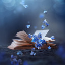 booksandblanketnests - Books and Blanket Nests