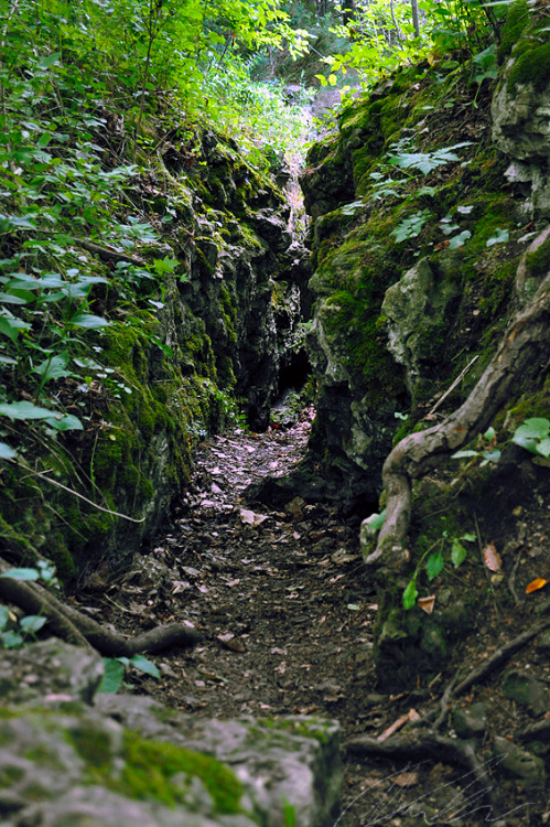 The crack in the earth on Mackinac Island.