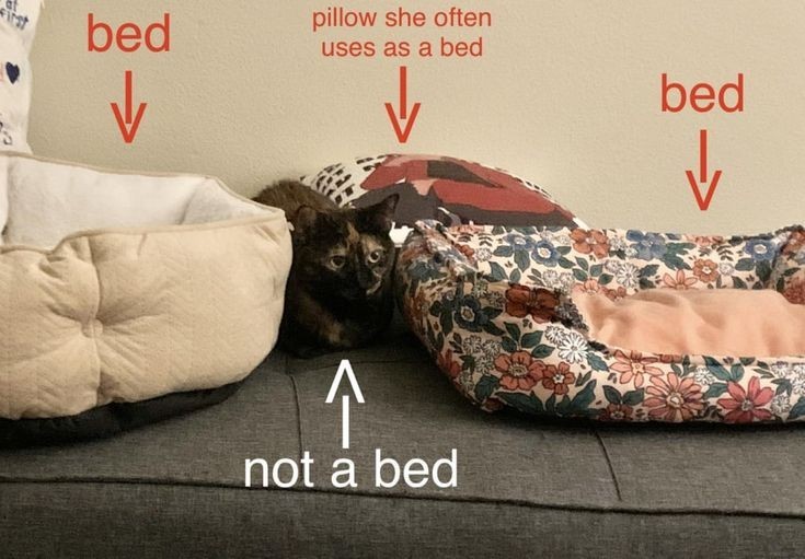 catasters: